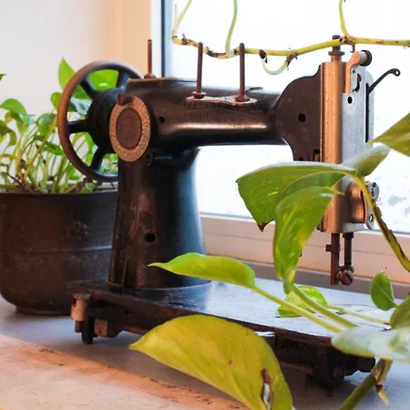 I Colori Di Nini A Trastevere 아파트 로마